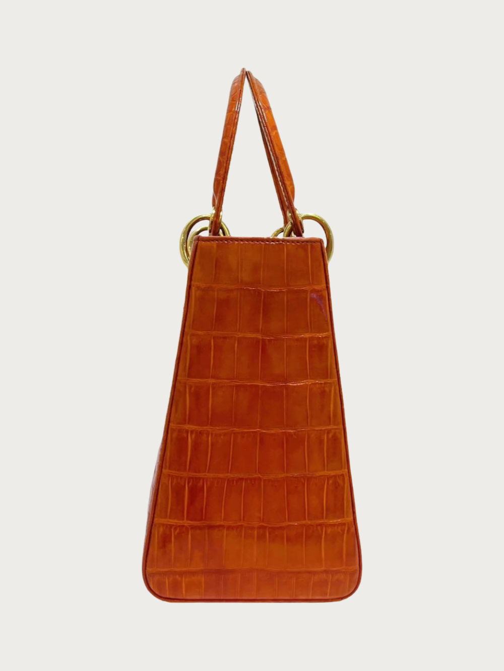 Lady Dior Medium Crocodile - Image 4