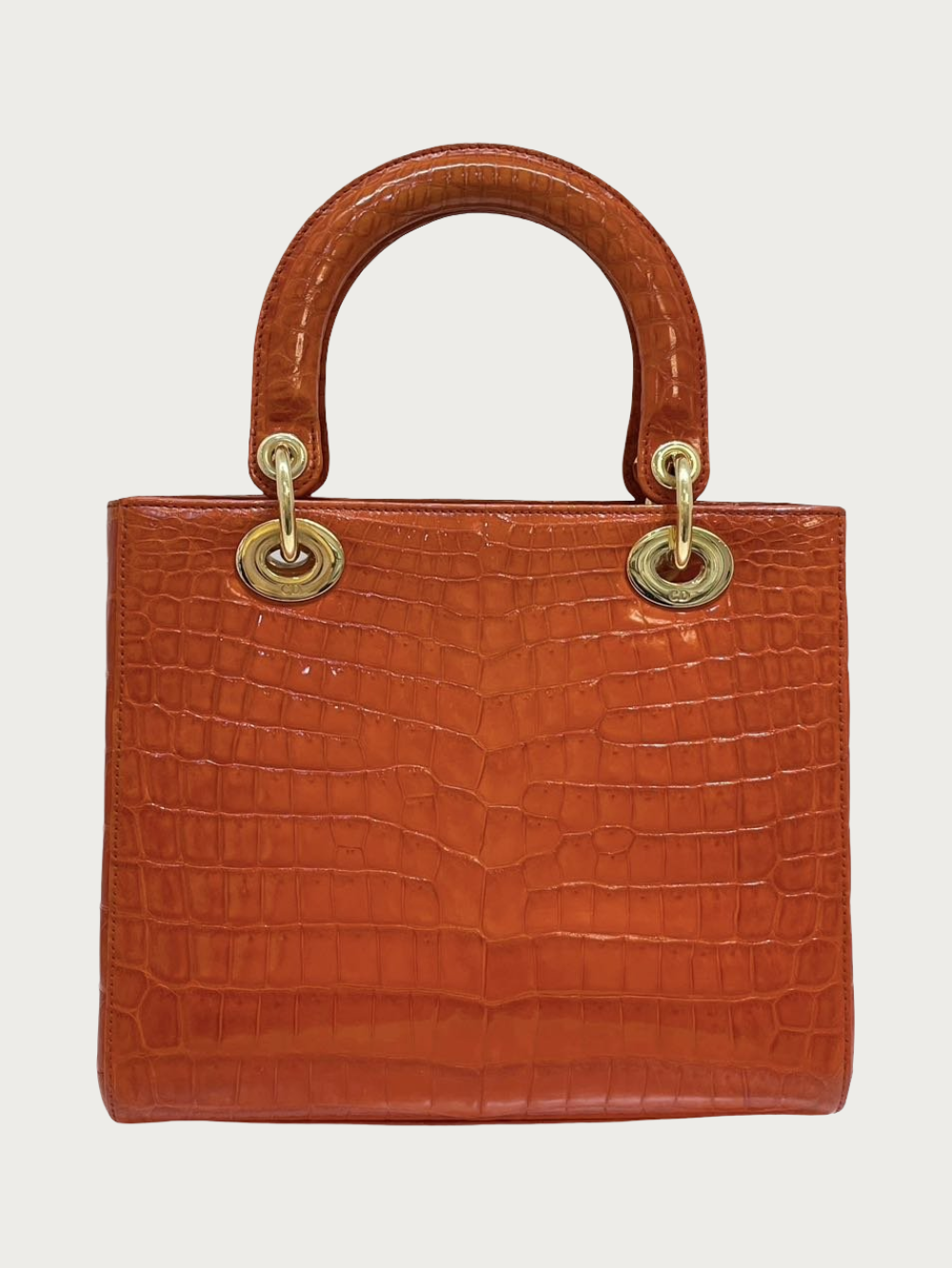 Lady Dior Medium Crocodile - Image 5