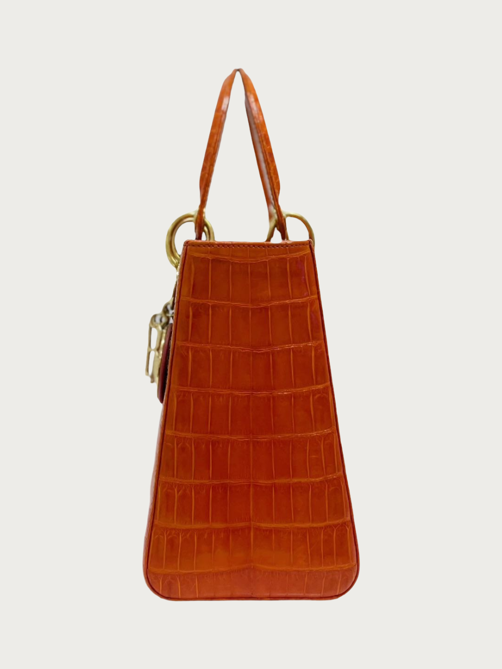 Lady Dior Medium Crocodile - Image 6